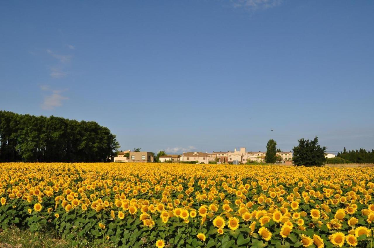 Bed & Breakfast Lhort De Sant Cebria 4*